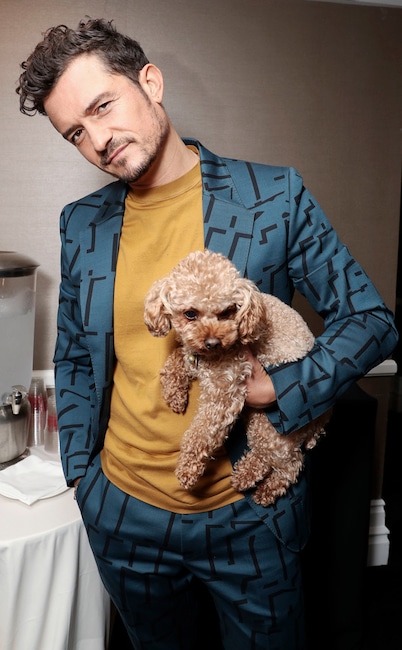 Orlando Bloom, TCA, Dog, Mighty, National Puppy Day 2020